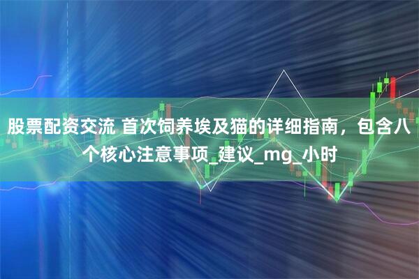 股票配资交流 首次饲养埃及猫的详细指南，包含八个核心注意事项_建议_mg_小时