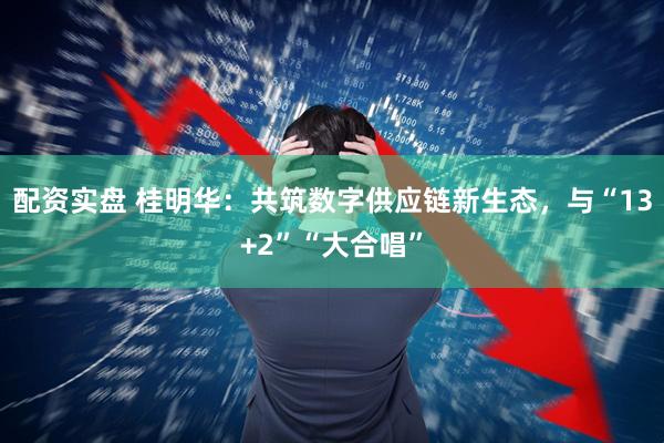 配资实盘 桂明华：共筑数字供应链新生态，与“13+2”“大合唱”