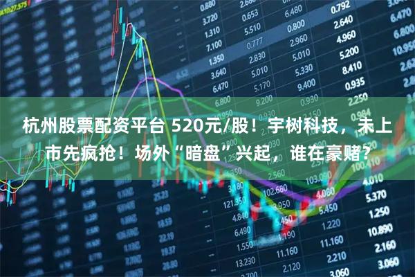 杭州股票配资平台 520元/股！宇树科技，未上市先疯抢！场外“暗盘”兴起，谁在豪赌？